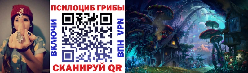 Купить закладки  Красково  Галлюциногенные грибы Magic Shrooms 