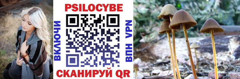 Псилоцибиновые грибы GOLDEN TEACHER Красково